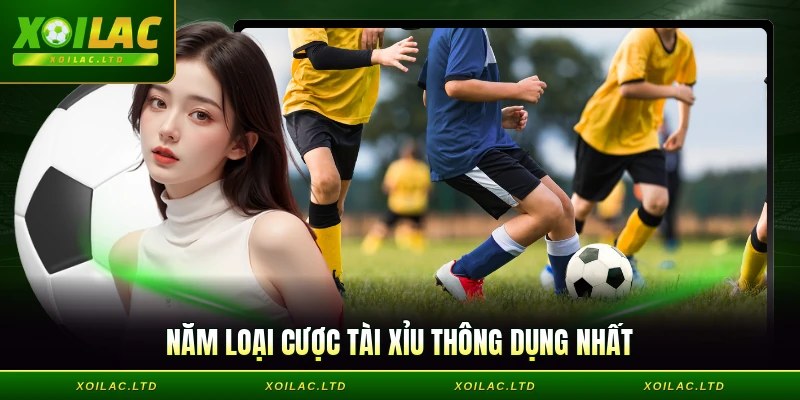 Năm loại cược tài xỉu thông dụng nhất