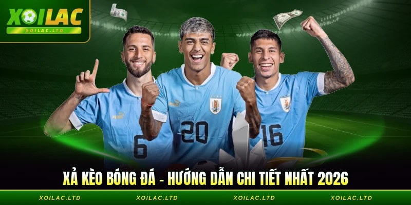 Xả Kèo Bóng Đá - Hiểu Rõ Và Cược Đúng Cho Người Mới